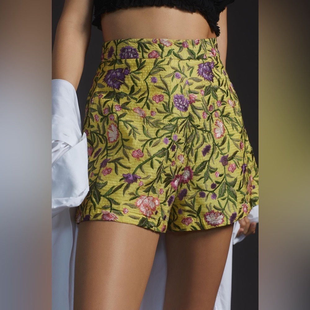 NWT Anthropologie La Fuori Embroidered Shorts - Size XL